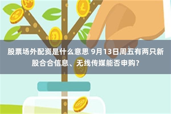 股票场外配资是什么意思 9月13日周五有两只新股合合信息、无线传媒能否申购？