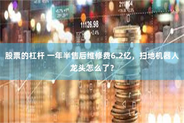 股票的杠杆 一年半售后维修费6.2亿，扫地机器人龙头怎么了？