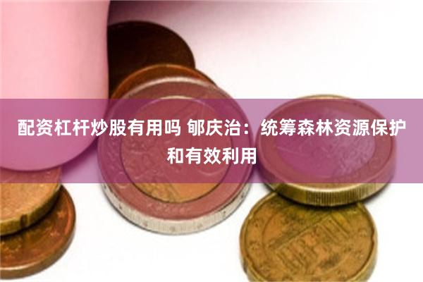 配资杠杆炒股有用吗 郇庆治：统筹森林资源保护和有效利用