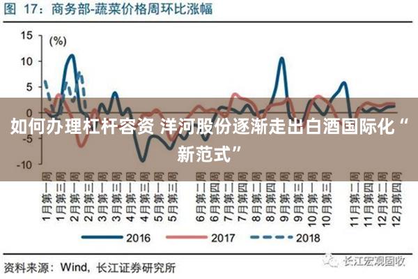 如何办理杠杆容资 洋河股份逐渐走出白酒国际化“新范式”