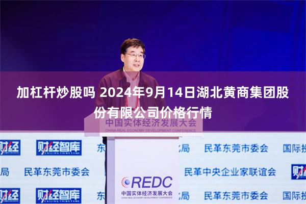 加杠杆炒股吗 2024年9月14日湖北黄商集团股份有限公司价格行情