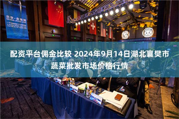 配资平台佣金比较 2024年9月14日湖北襄樊市蔬菜批发市场价格行情