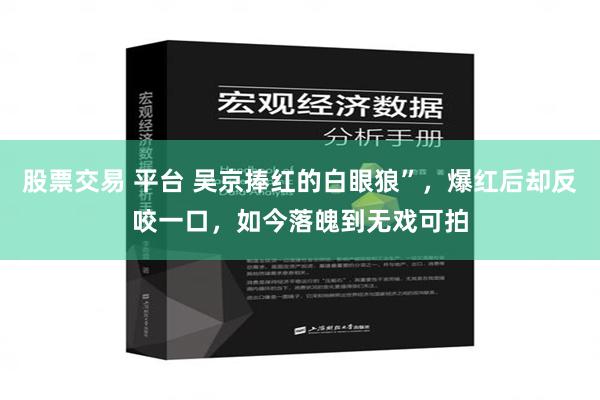 股票交易 平台 吴京捧红的白眼狼”，爆红后却反咬一口，如今落魄到无戏可拍