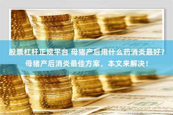 股票杠杆正规平台 母猪产后用什么药消炎最好？母猪产后消炎最佳方案，本文来解决！