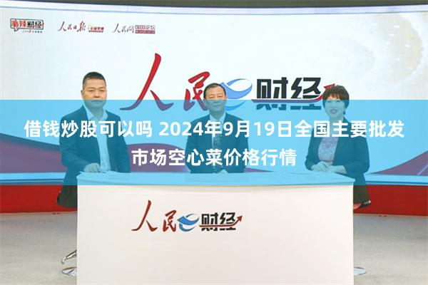 借钱炒股可以吗 2024年9月19日全国主要批发市场空心菜价格行情