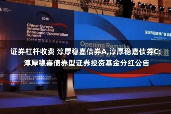 证券杠杆收费 淳厚稳嘉债券A,淳厚稳嘉债券C: 淳厚稳嘉债券型证券投资基金分红公告