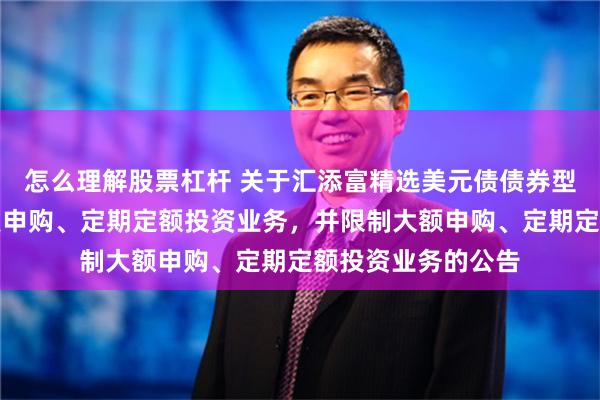 怎么理解股票杠杆 关于汇添富精选美元债债券型证券投资基金恢复申购、定期定额投资业务，并限制大额申购、定期定额投资业务的公告