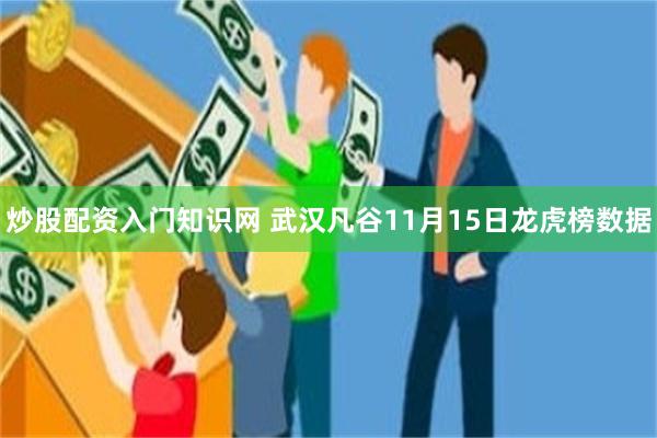 炒股配资入门知识网 武汉凡谷11月15日龙虎榜数据