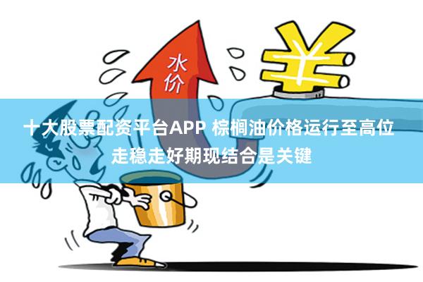 十大股票配资平台APP 棕榈油价格运行至高位 走稳走好期现结合是关键