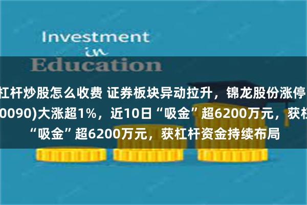 杠杆炒股怎么收费 证券板块异动拉升，锦龙股份涨停，证券ETF龙头(560090)大涨超1%，近10日“吸金”超6200万元，获杠杆资金持续布局