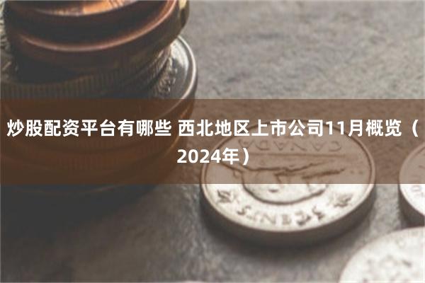 炒股配资平台有哪些 西北地区上市公司11月概览（2024年）