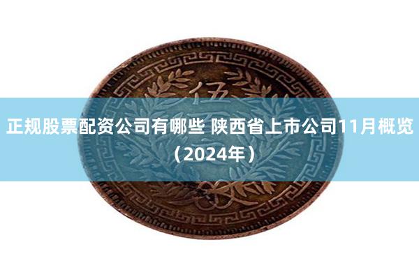 正规股票配资公司有哪些 陕西省上市公司11月概览（2024年）