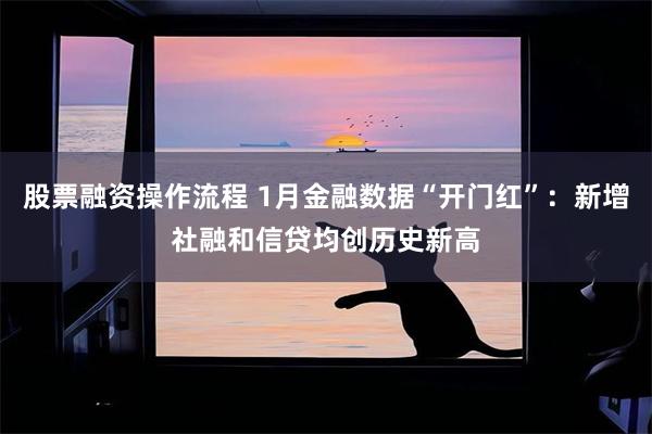 股票融资操作流程 1月金融数据“开门红”：新增社融和信贷均创历史新高