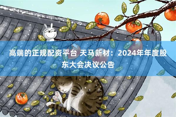 高端的正规配资平台 天马新材：2024年年度股东大会决议公告